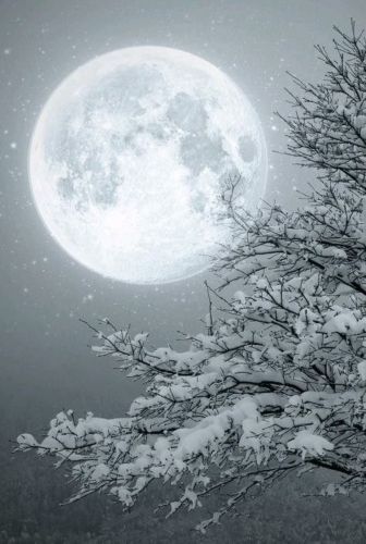 Snow Moon